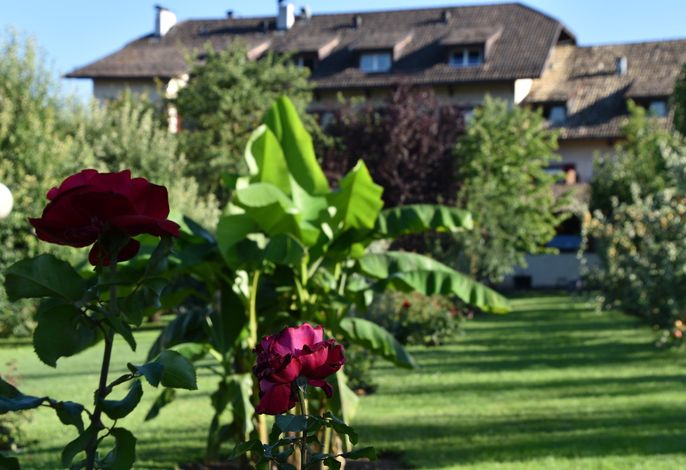 Bild 15
