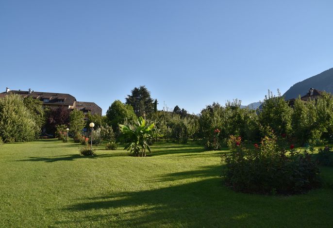 Bild 17