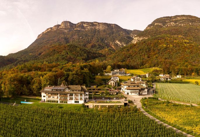 Gasthof Steinegger