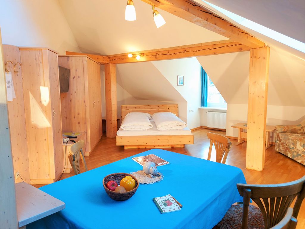 Appartment Wintermärchen Wohnschlafraum mit Küchenecke