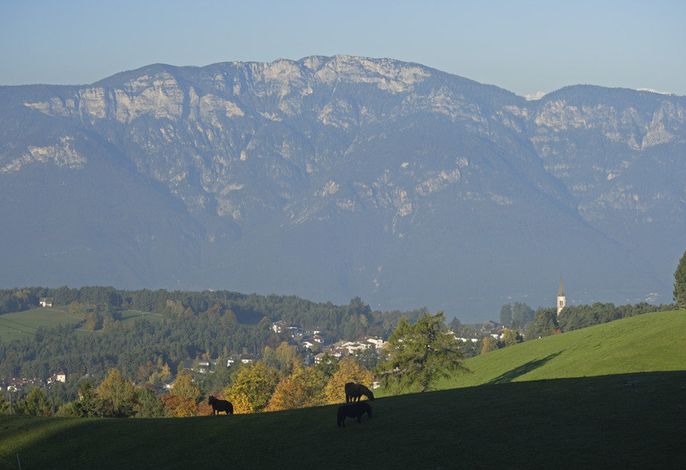 Bild 13