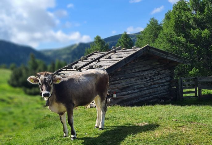 Bild 15