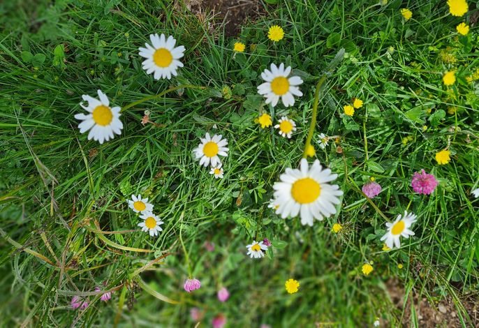 Bild 18