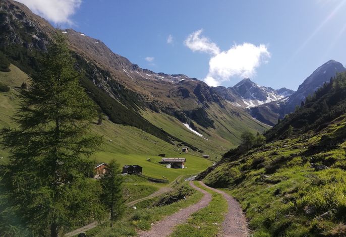 Bild 12