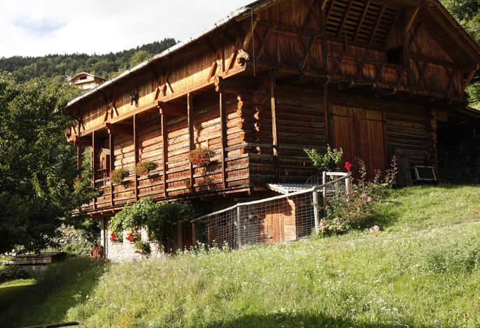Bild 54