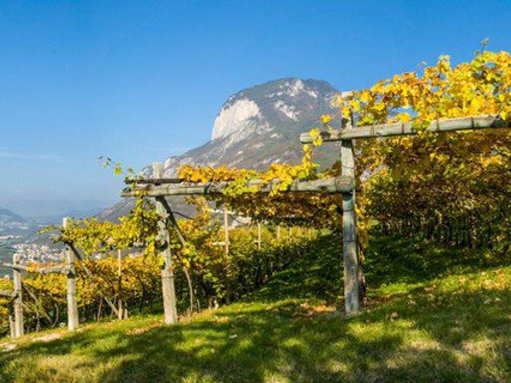 Herbslandschaft in Buchholz