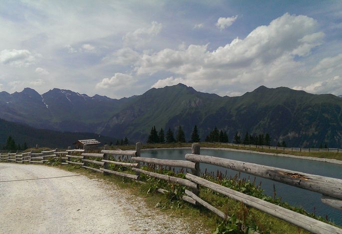 Bild 15