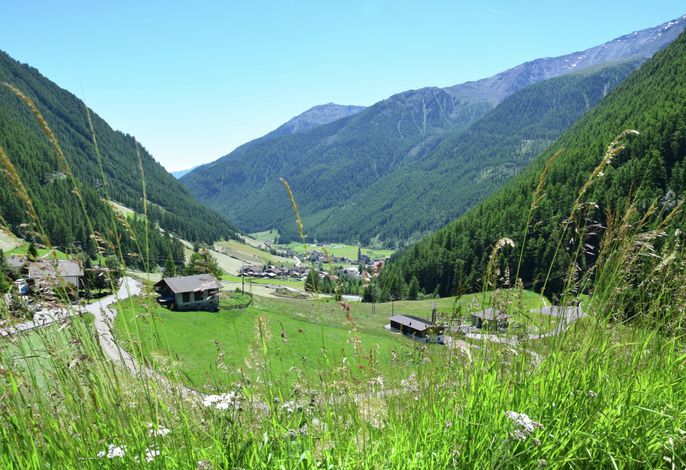 Bild 19