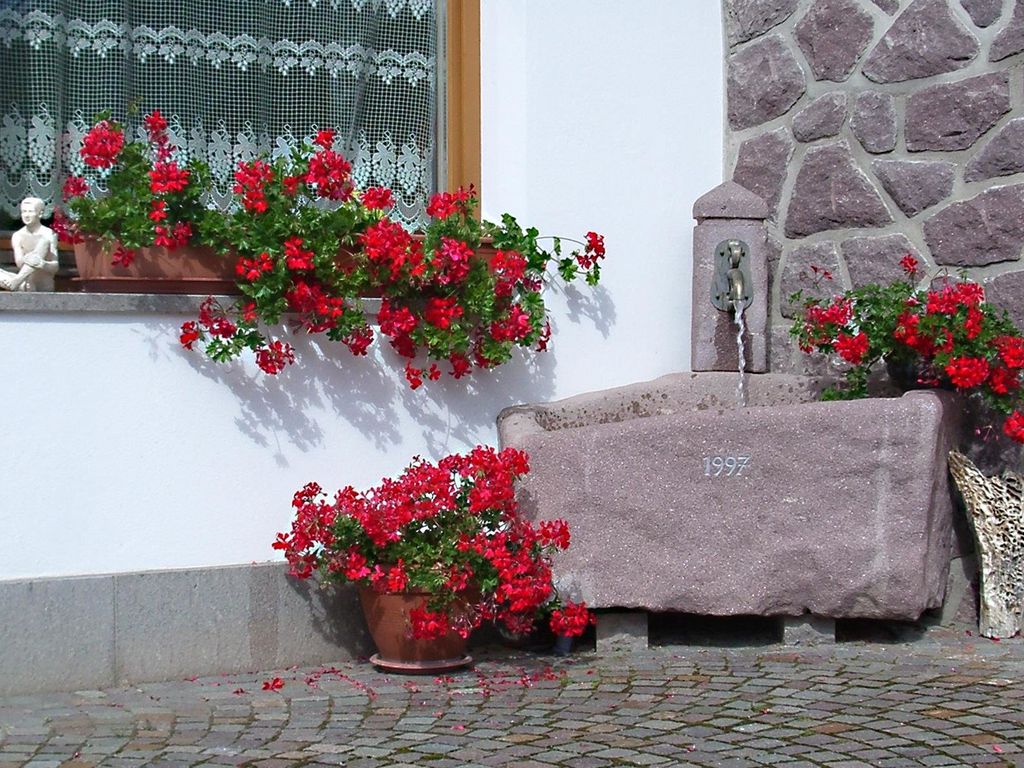 Appartments Granit