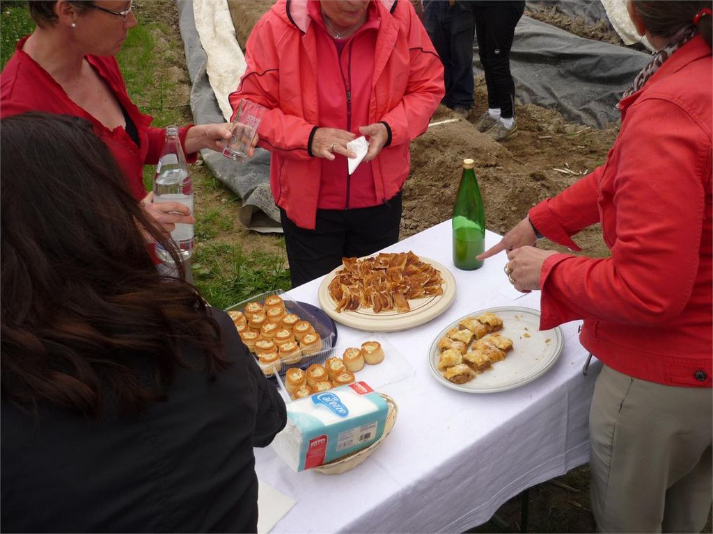 Apfelstrudel  & Spargeltörtchen