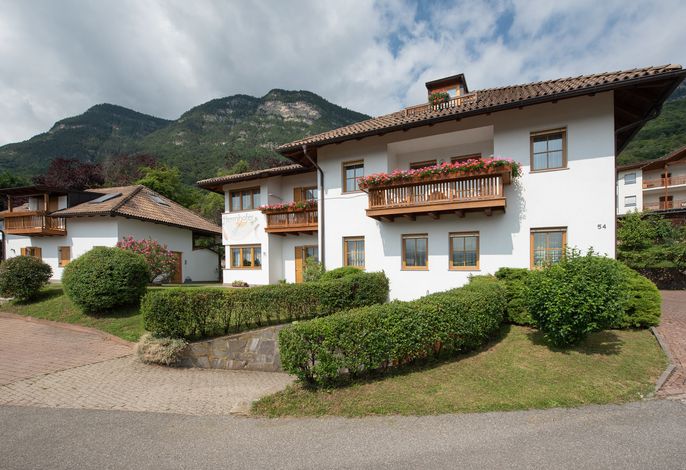 Bild 24