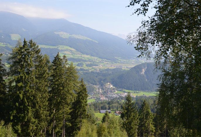 Bild 7