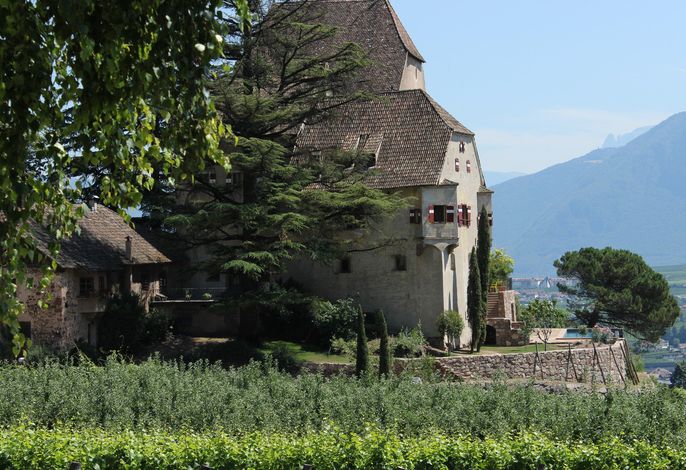 Bild 7