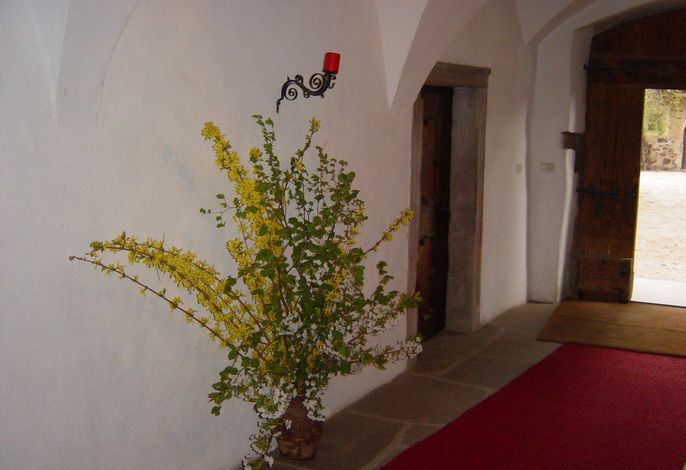 Bild 15