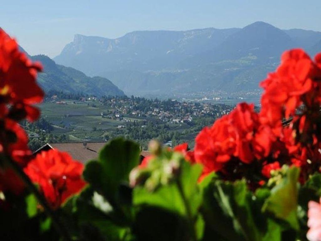 Panoramablick