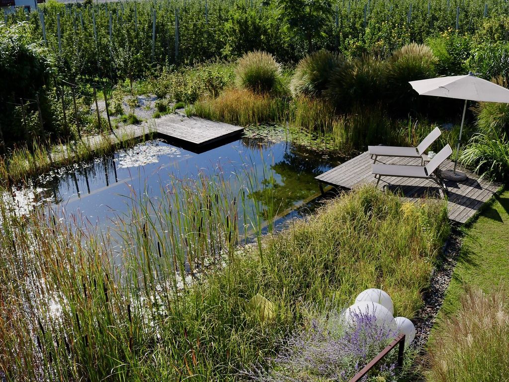 Schwimmteich