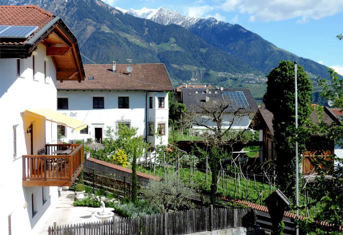 Bild 12