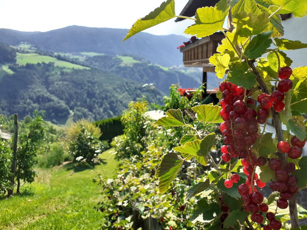 Masunerhof
