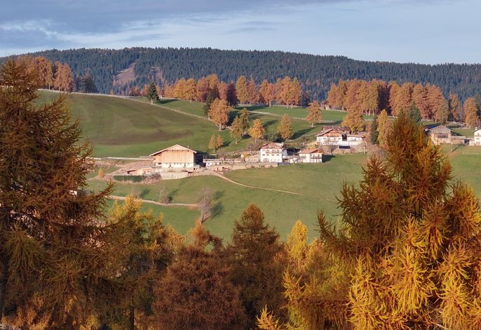 Oberfahrer Hof