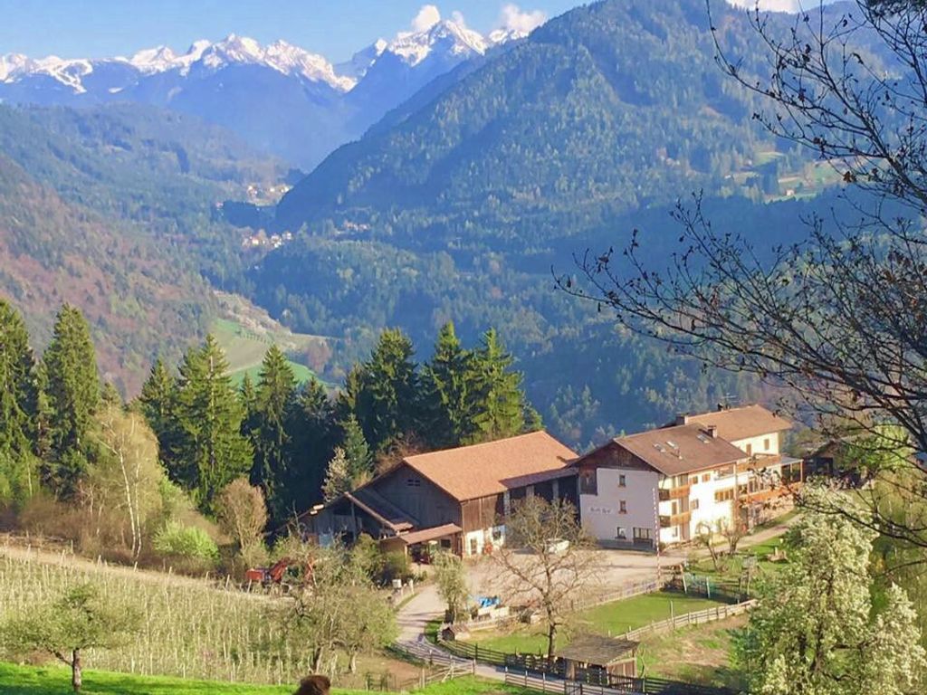 Wolfi und der Koflhof