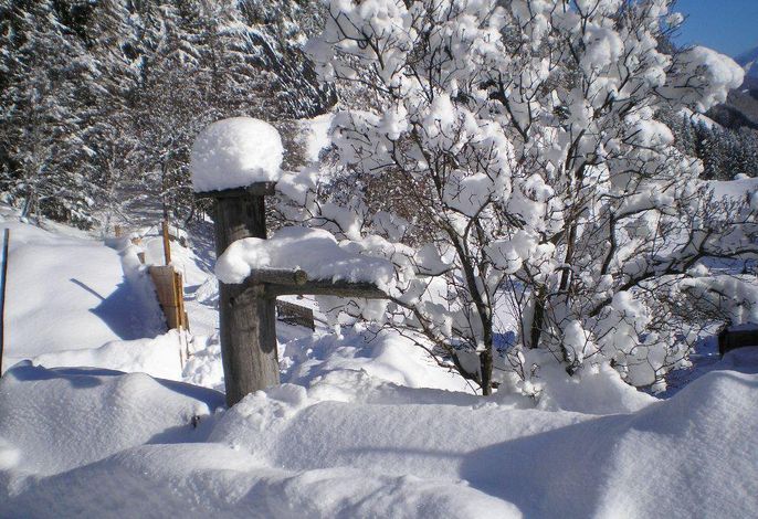 Bild 15
