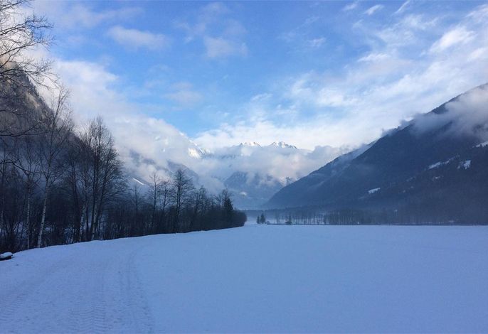 Bild 11