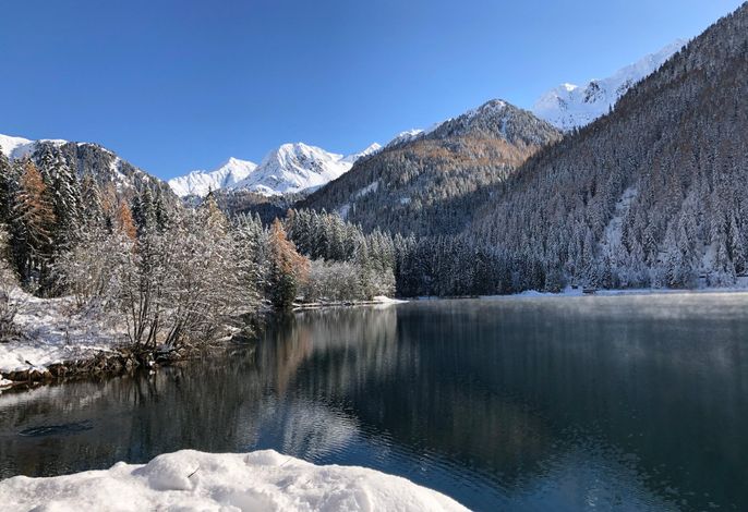 Bild 19