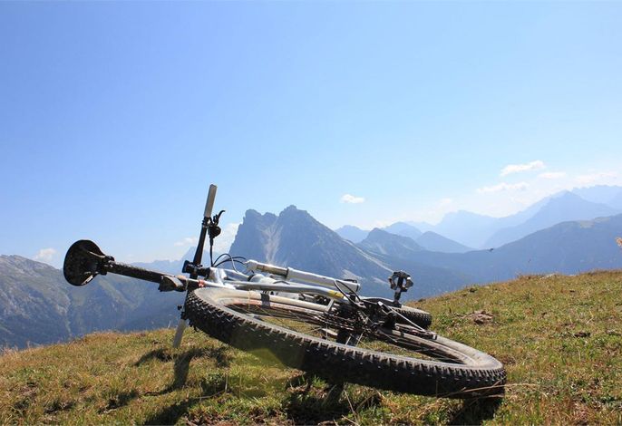 Bild 15