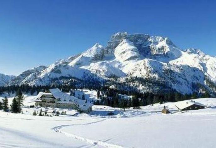 Bild 37