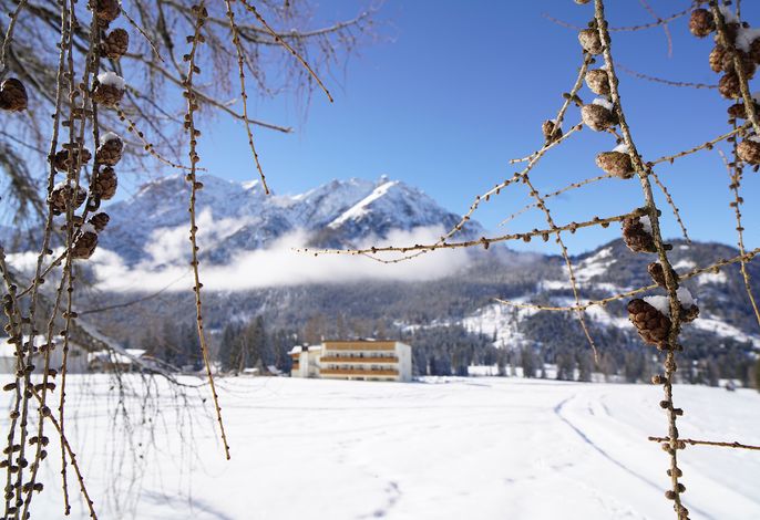 Bild 7