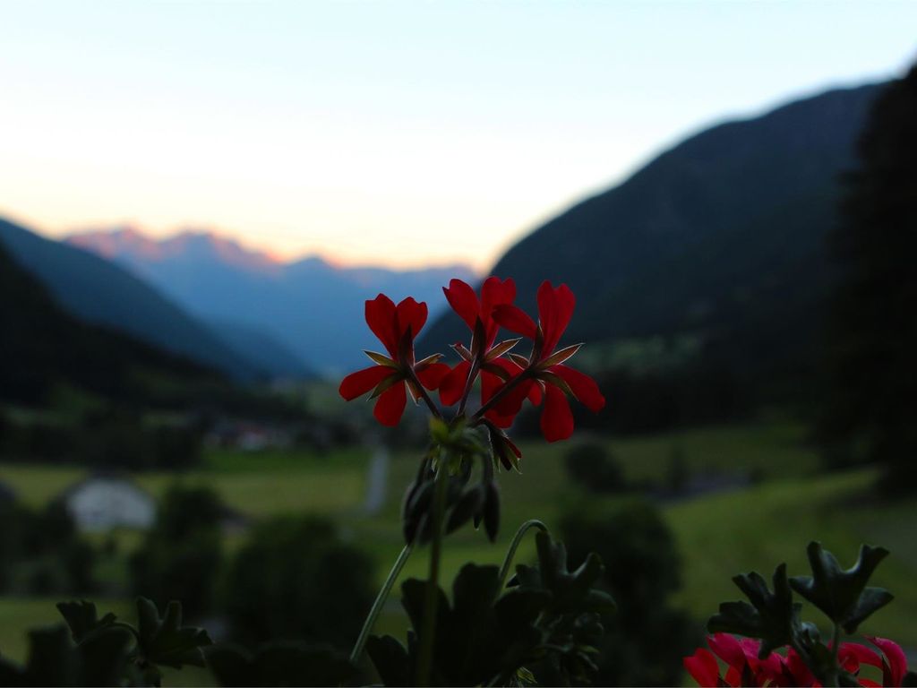Der Blick vom Balkon