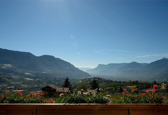 Bild 27