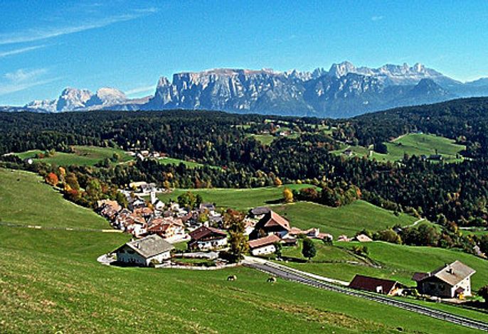 Bild 15