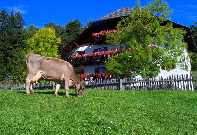 Bild 11
