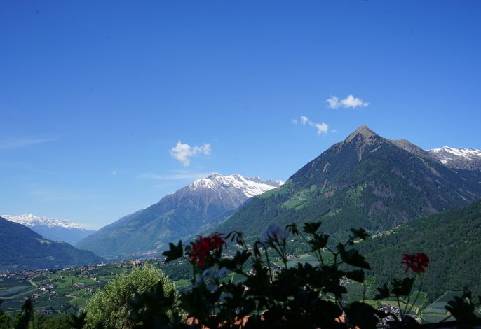 Bild 29