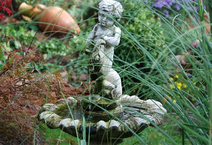 Bild 54