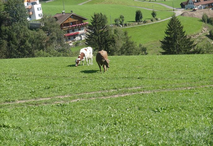 Bild 12