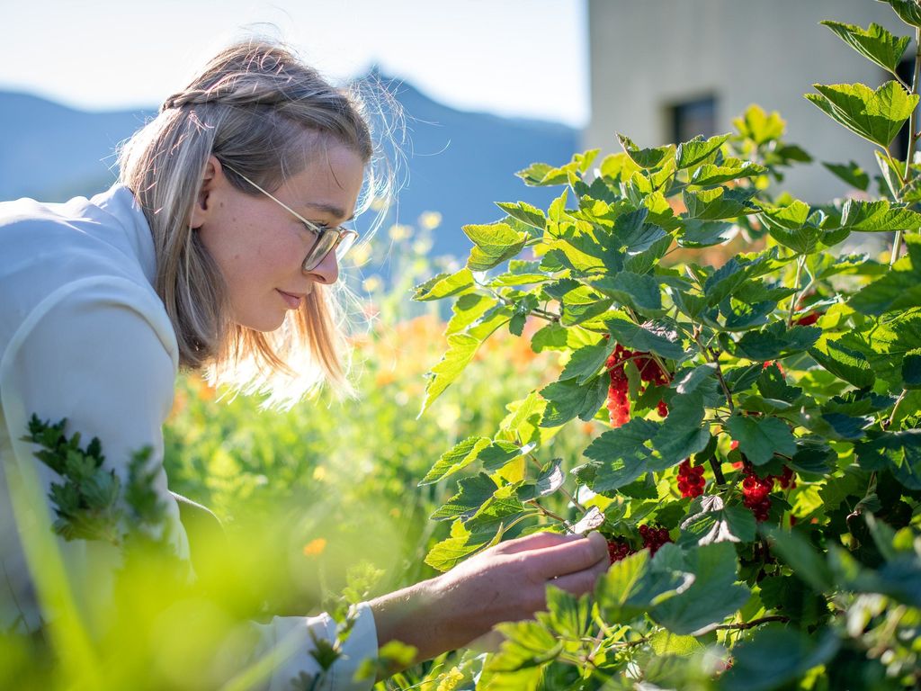 Beeren fürs Frühstück