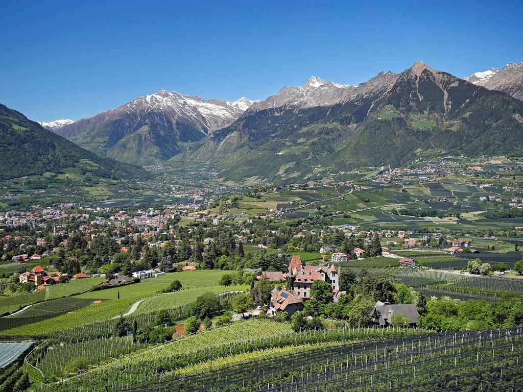 Panorama