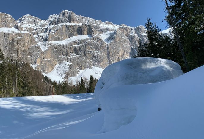 Bild 18