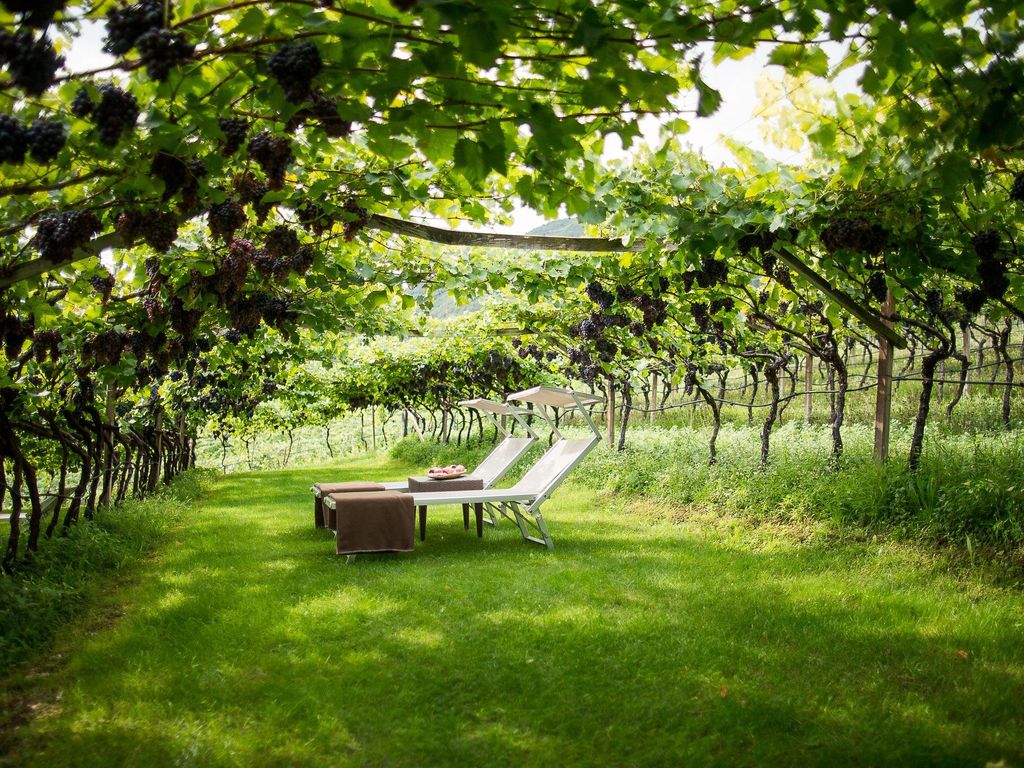 Liegen unter Weinreben