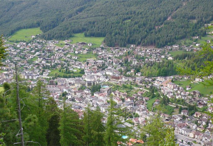 Bild 7