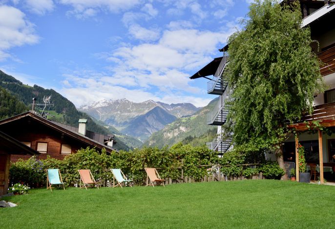 Bild 15