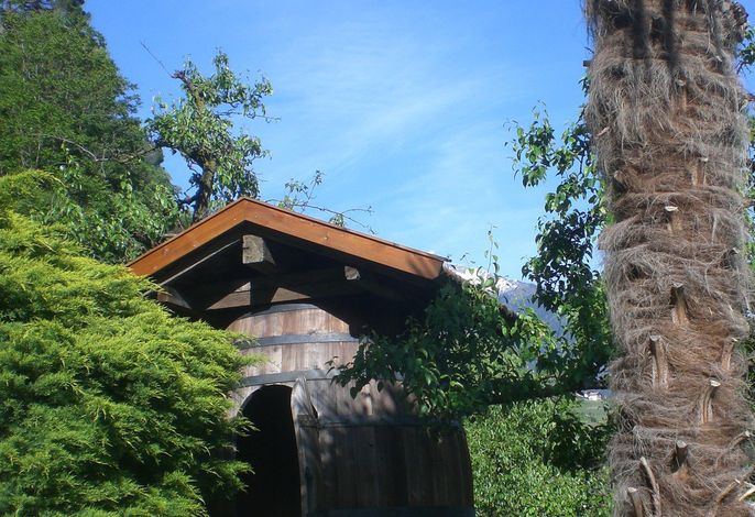 Bild 7