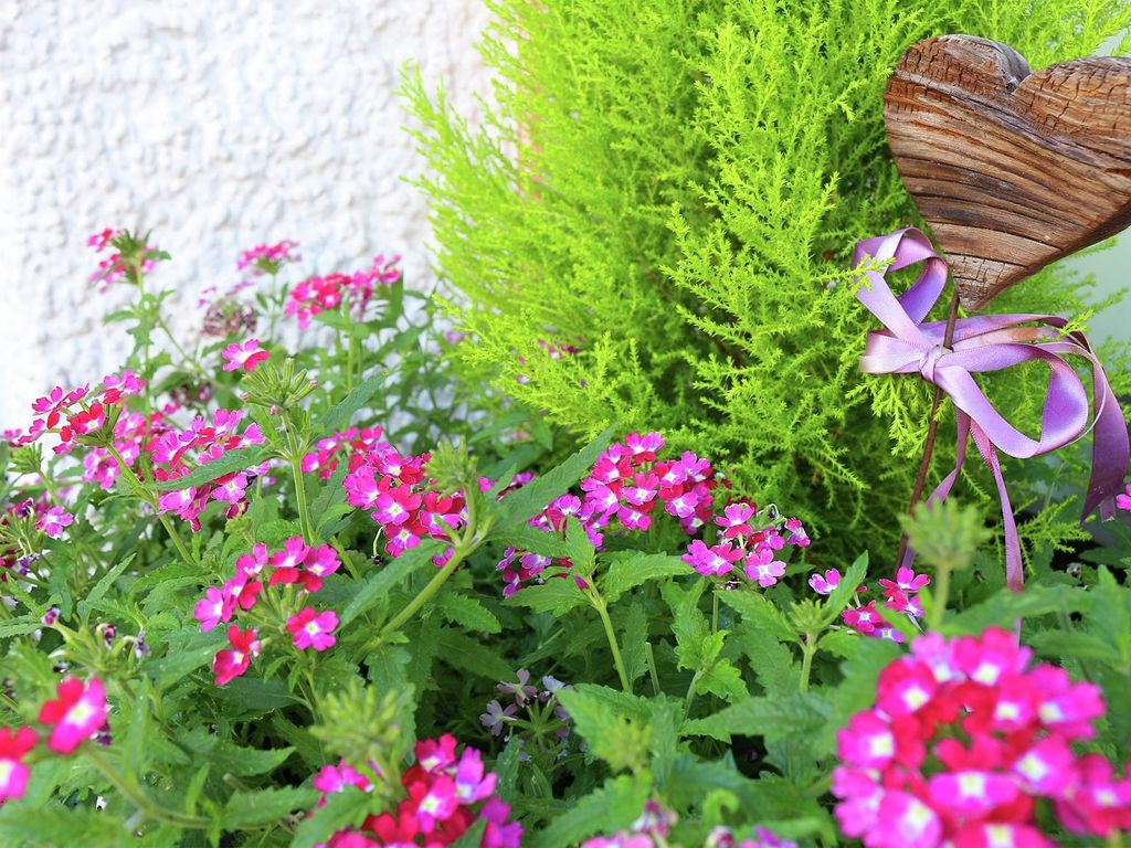 Bed and Breakfast Garni Eden Schenna