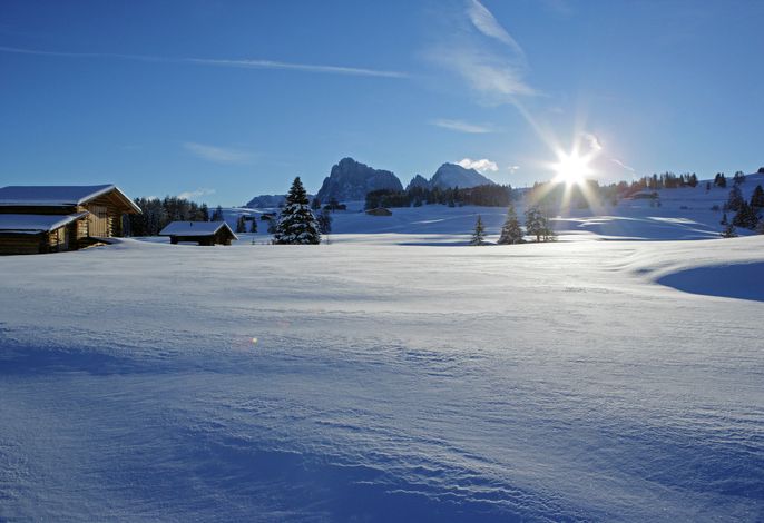 Bild 48
