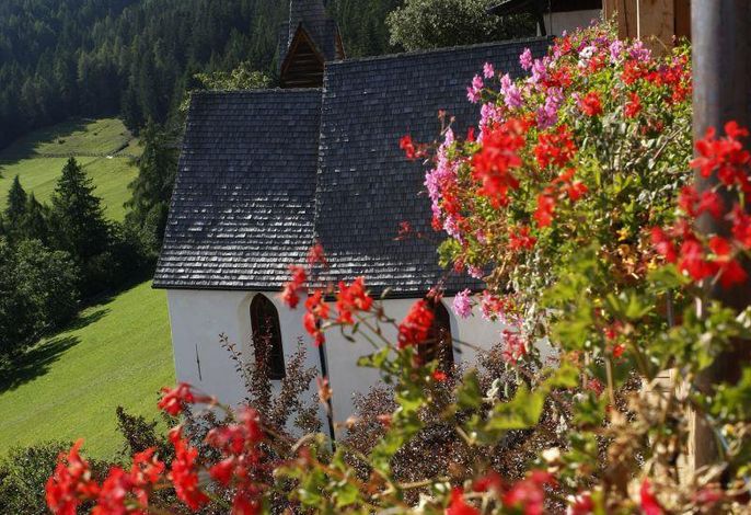 Bild 15