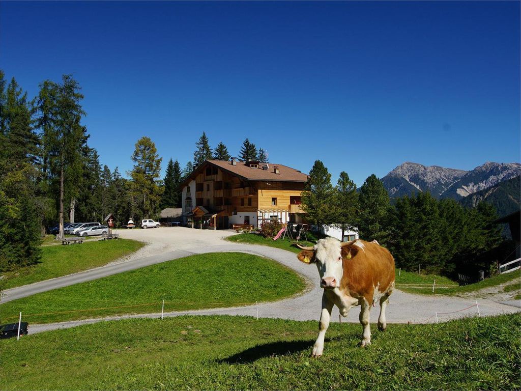 Chalet Frapes