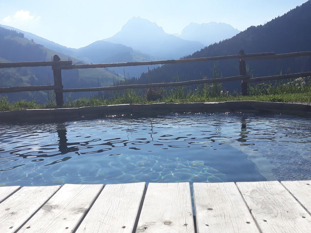 Natur Chalet