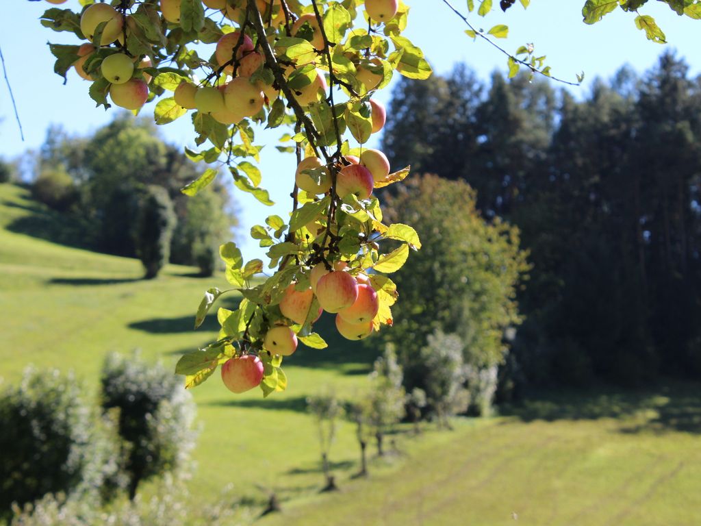Pension Steigerhof